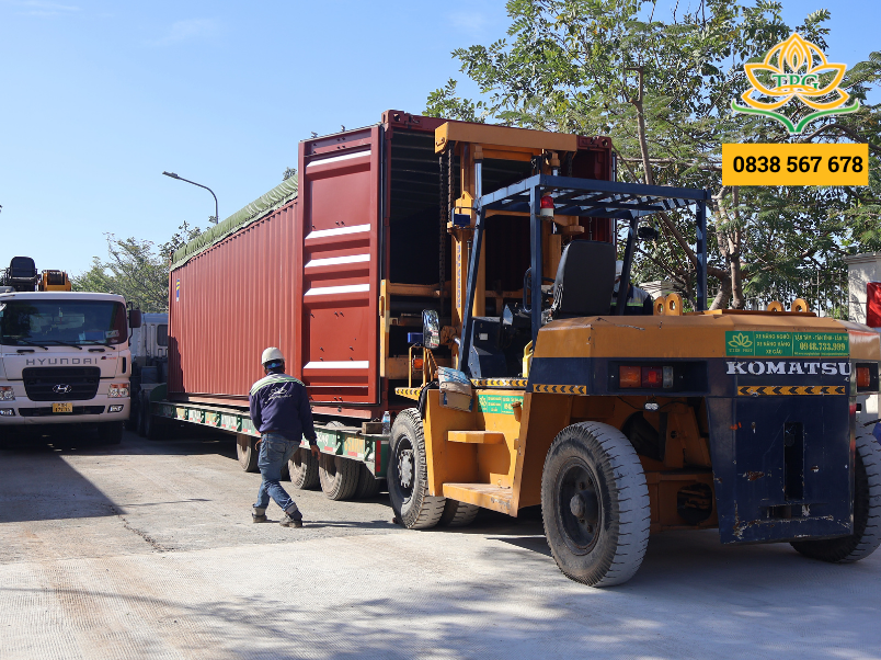 Cho thuê xe nâng hàng điện và dầu tại Bình Dương uy tín, giá tốt 9 du an thue xe nang rut container tai binh duong