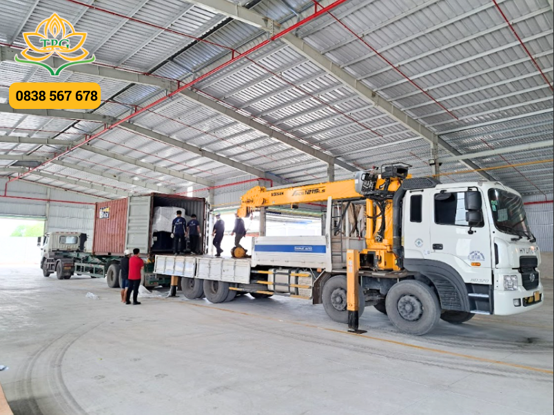 Du an cho thue xe cau dong rut container tai Thuan An