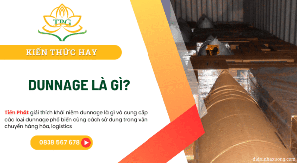 Dunnage là gì? Mục đích và các loại loại vật chèn lót cơ bản 8 dunnage la gi