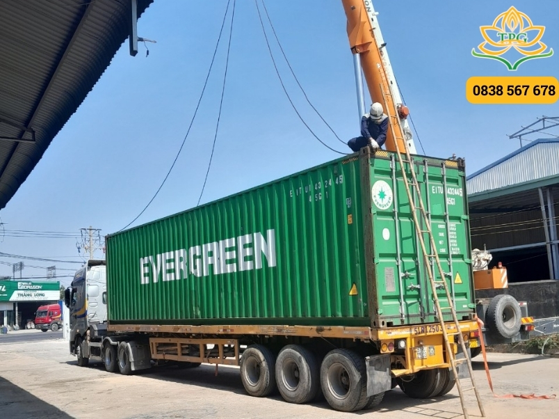Cho thuê xe cẩu tự hành, cẩu bánh lốp, cẩu mini tại Tân Bình 5 vi sao nen thue xe cau cua tien phat tai tan binh