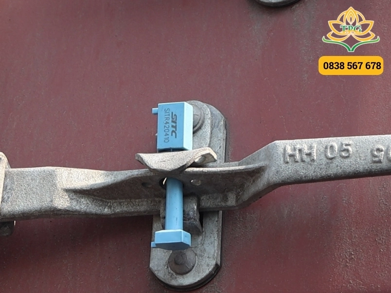 seal container la gi