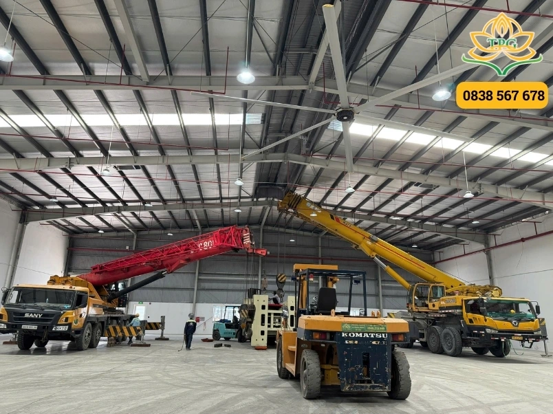 tai sao nen thue xe cau tai tay ninh cua tien phat