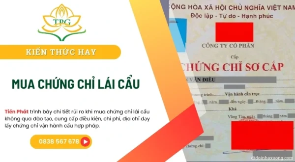 mua chung chi lai cau