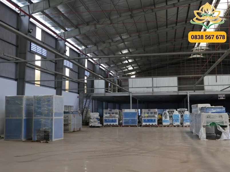 vi sao nen chon tien phat de di doi, rut container may det may va da giay