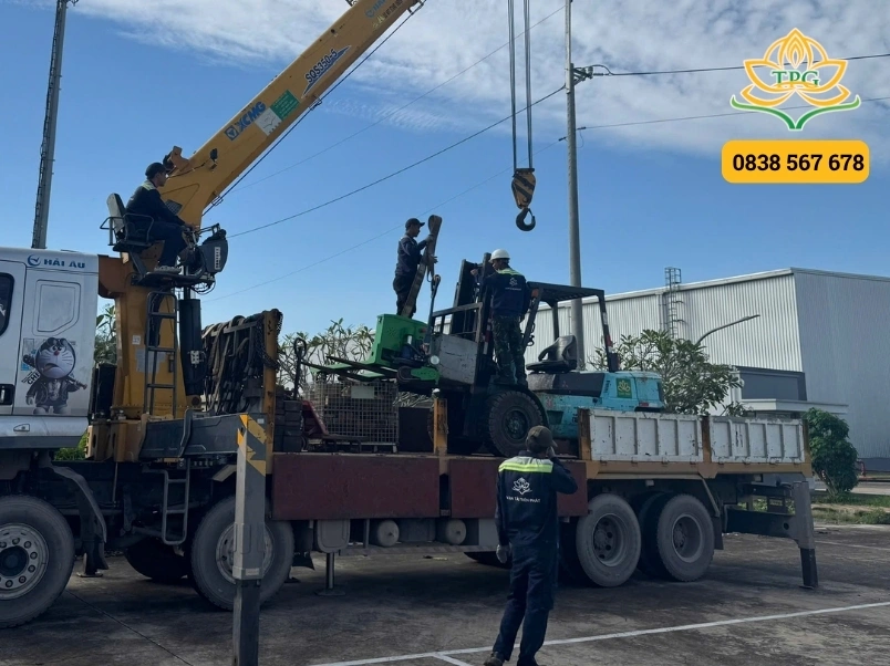 thu tuc cho thue xe nang binh chanh nhanh gon